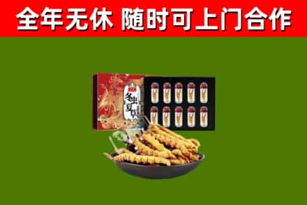 禹王台回收冬虫夏草价格