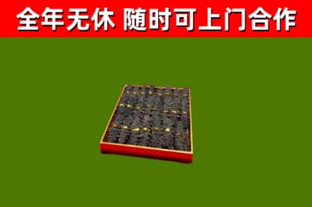 禹王台回收海参